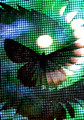 Fractal Moth in Moonlight: Moth on a Screen #1